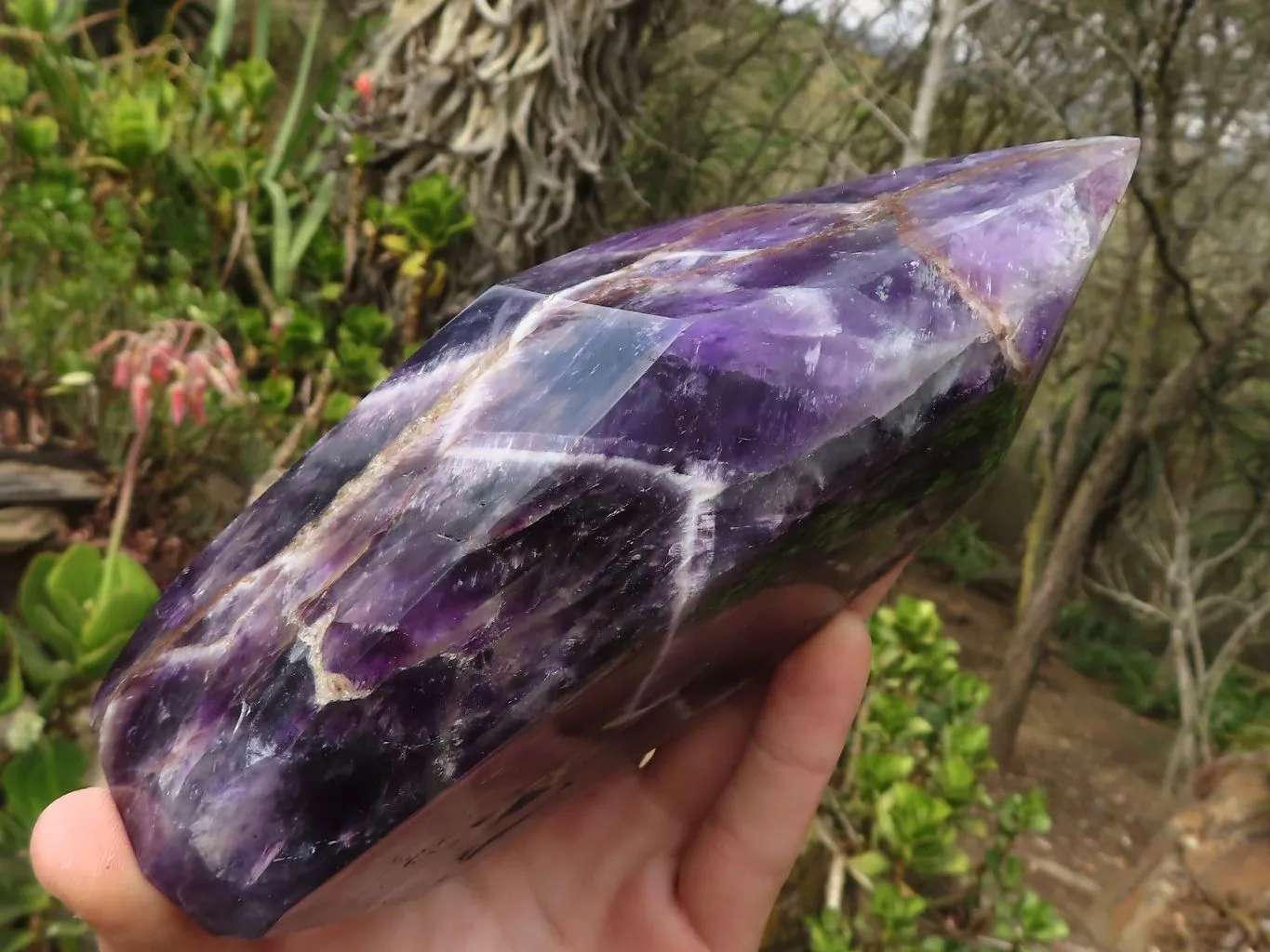 Polished Chevron Amethyst Standing Free Form x 1 From Zambia
