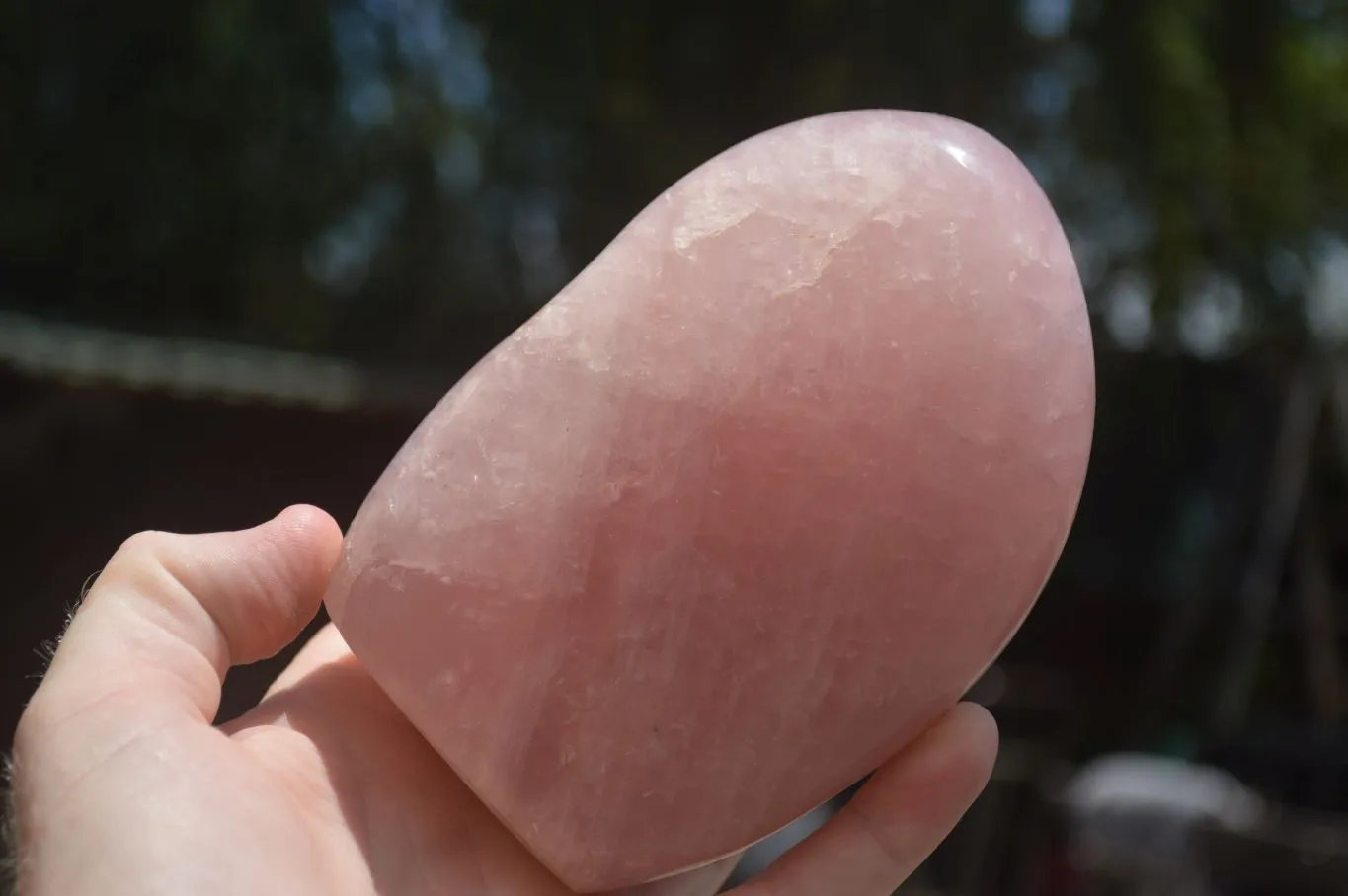 Polished Gemmy Pink Rose Quartz Standing Free Form x 1 From Ambatondrazaka, Madagascar