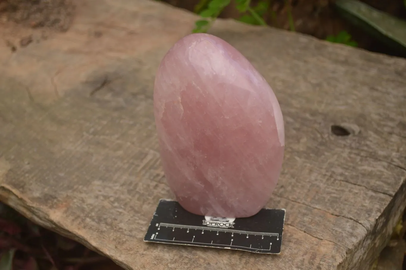 Polished Gemmy Pink Rose Quartz Standing Free Form x 1 From Ambatondrazaka, Madagascar