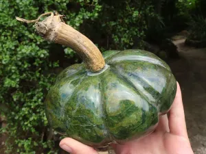 Polished Large Green Verdite Pumpkin Carving x 1 From Zimbabwe
