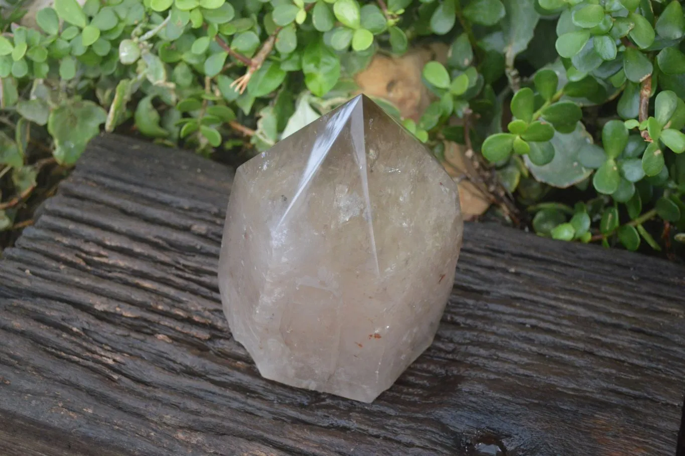 Polished Large Smokey Citrine Quartz Point x 1 From Angola