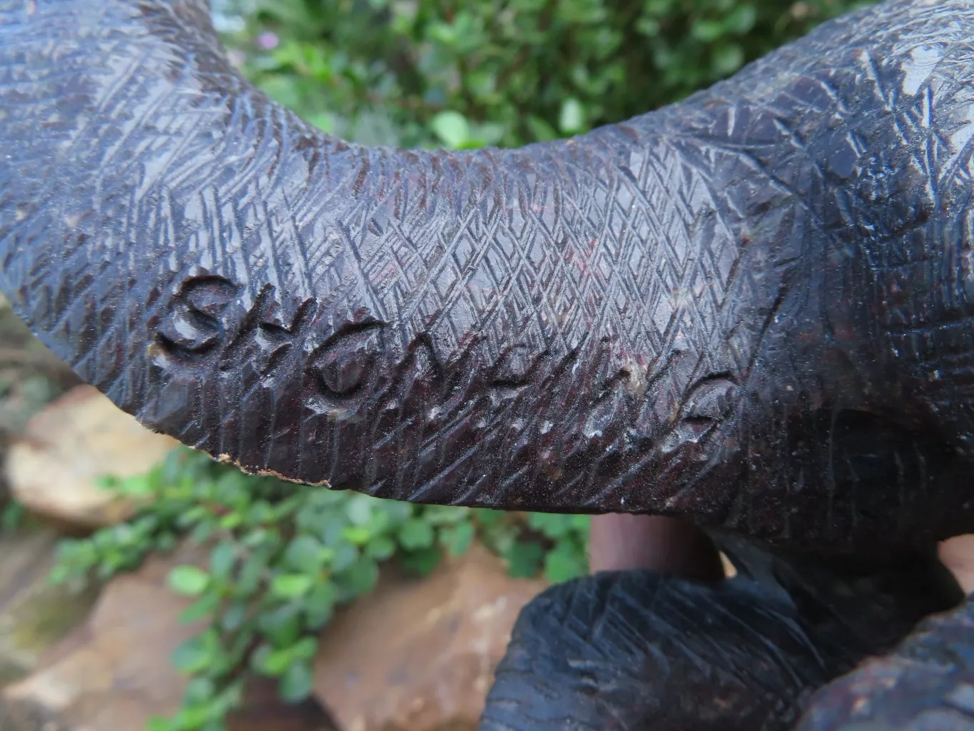 Polished  Ornithischian Dinosaur Carving x 1 From Zimbabwe