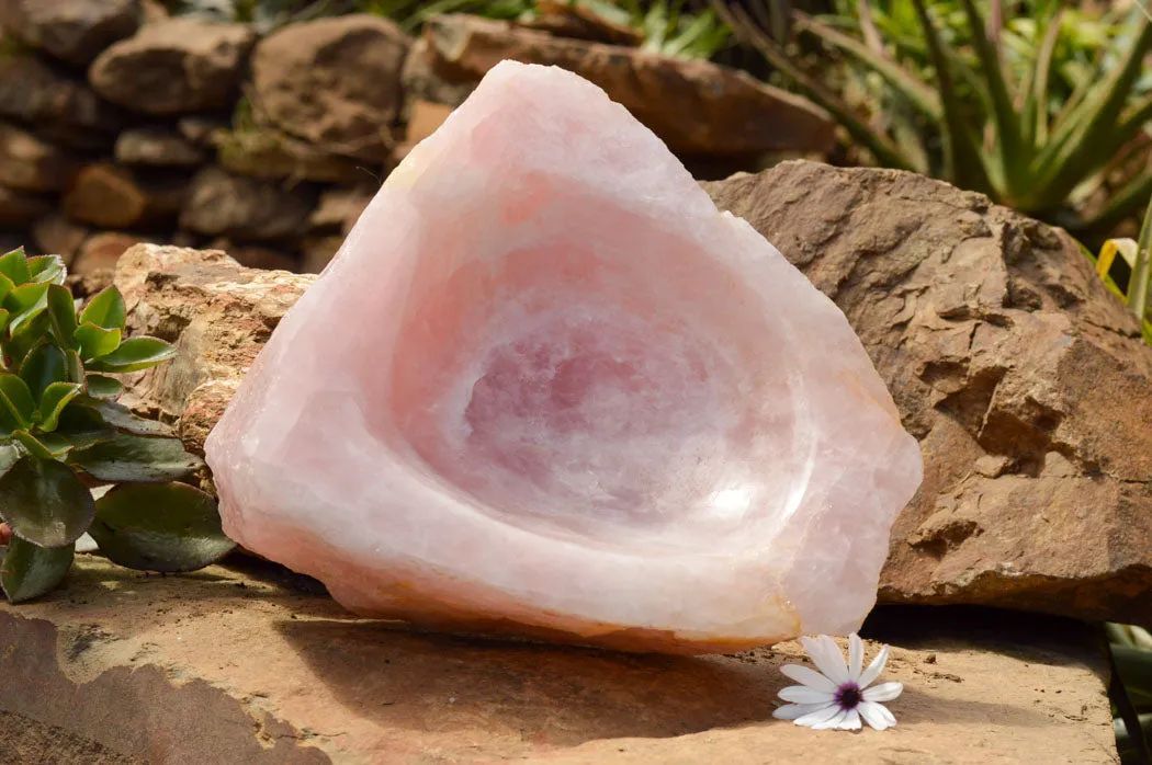 Polished Pink Rose Quartz Bowl With A Natural Base x 1 From Madagascar