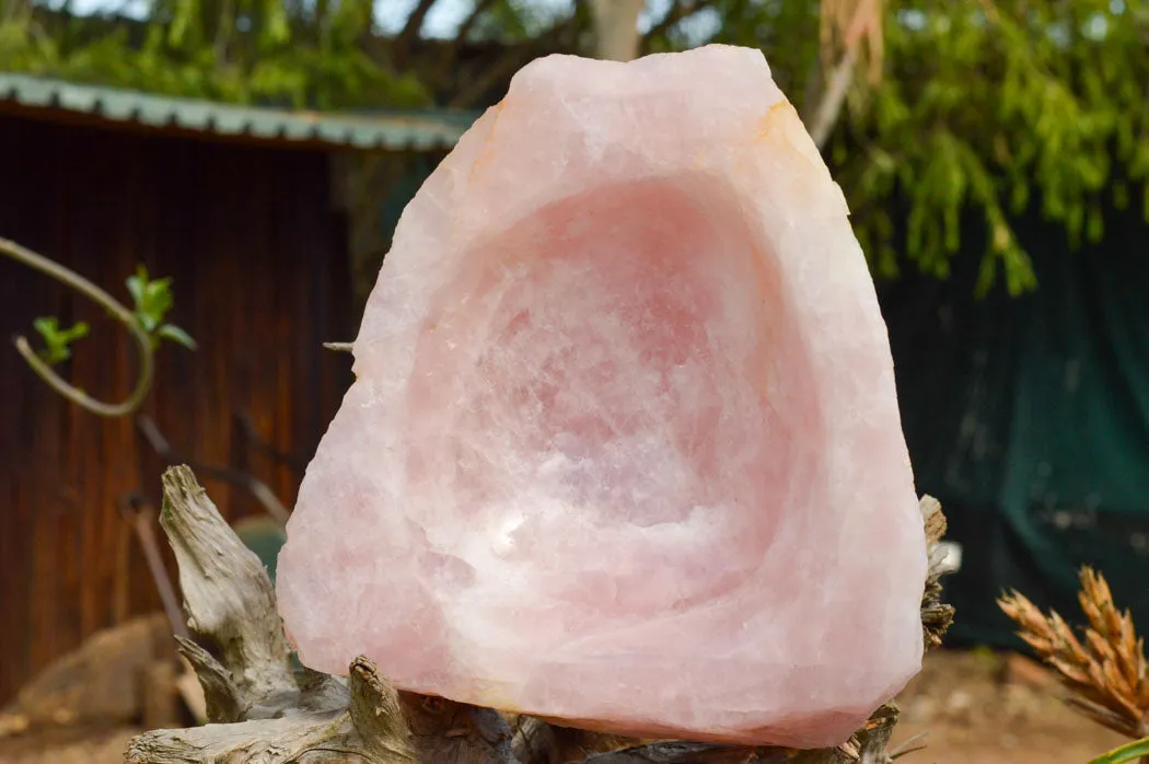 Polished Pink Rose Quartz Bowl With A Natural Base x 1 From Madagascar