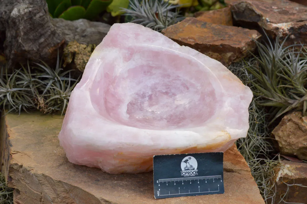Polished Pink Rose Quartz Bowl With A Natural Base x 1 From Madagascar