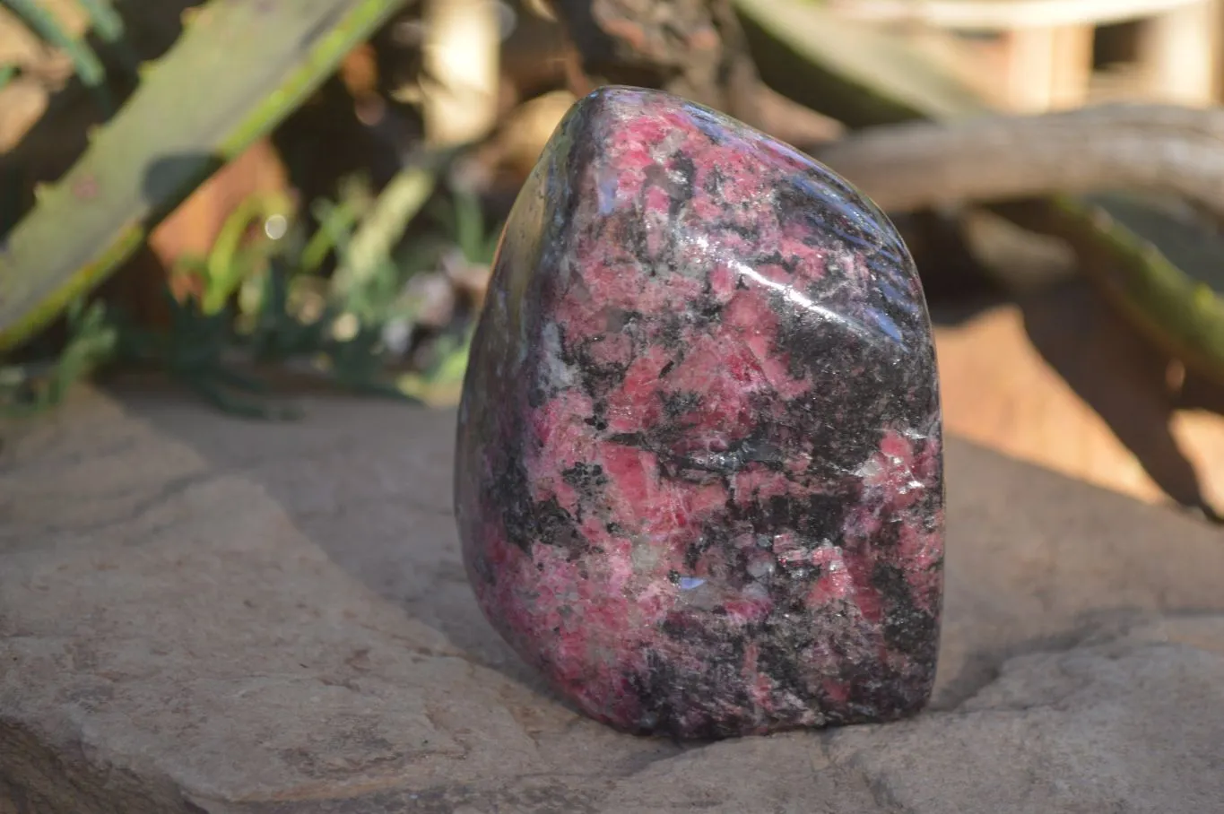 Polished Red & Black Rhodonite Standing Free Form x 1 From Zimbabwe