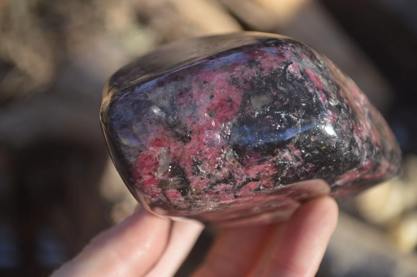 Polished Red & Black Rhodonite Standing Free Form x 1 From Zimbabwe