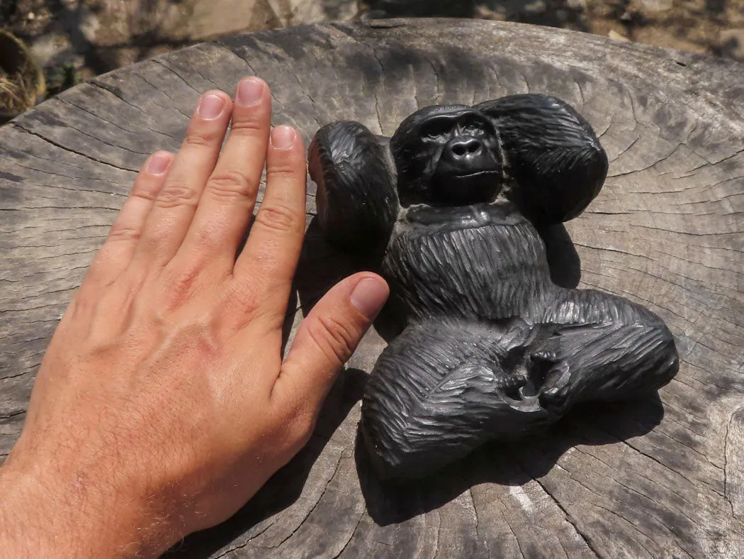 Polished Resting Gorilla Soapstone Carving x 1 From Zimbabwe