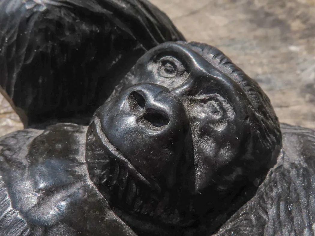 Polished Resting Gorilla Soapstone Carving x 1 From Zimbabwe