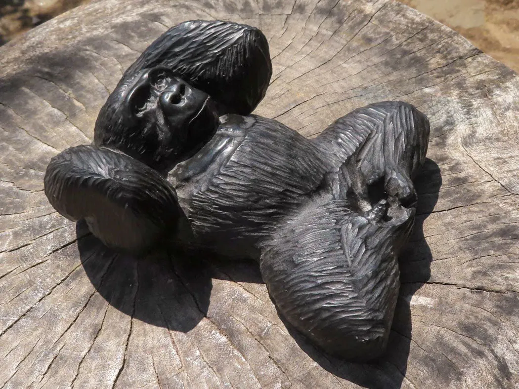 Polished Resting Gorilla Soapstone Carving x 1 From Zimbabwe