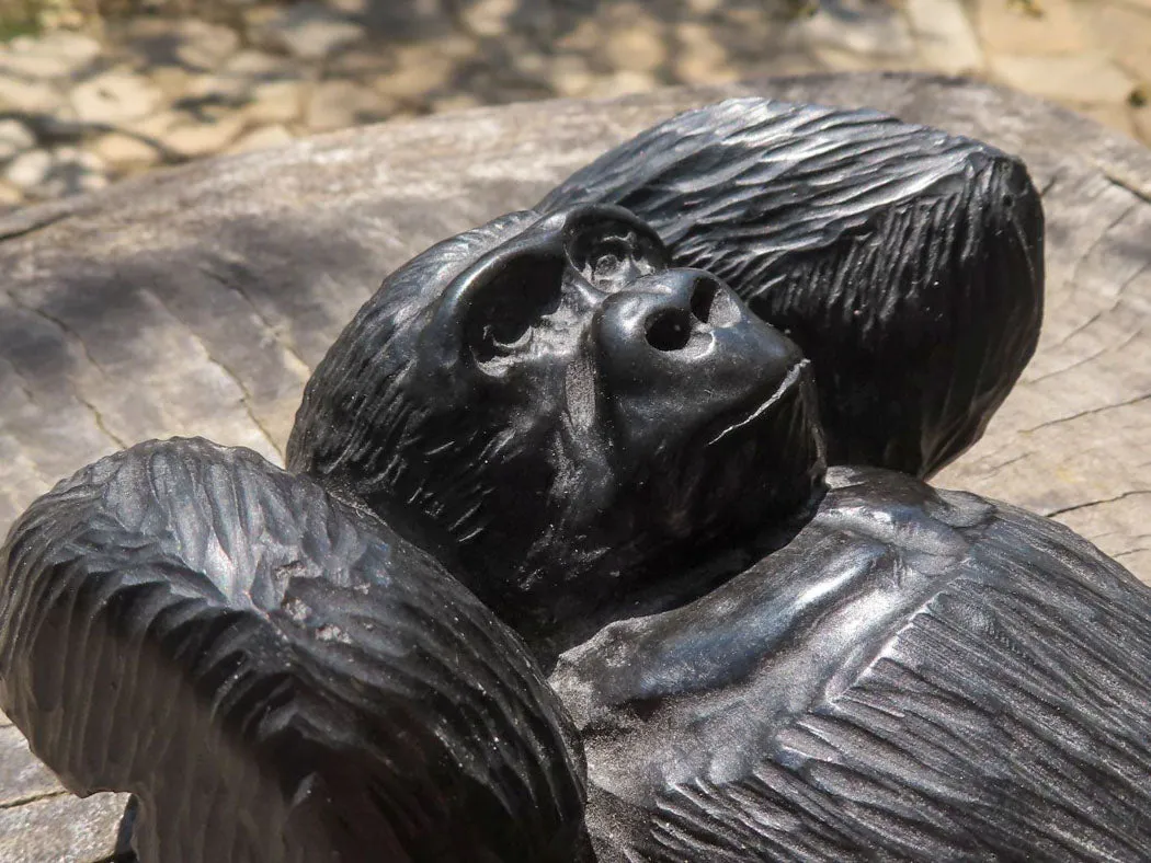Polished Resting Gorilla Soapstone Carving x 1 From Zimbabwe