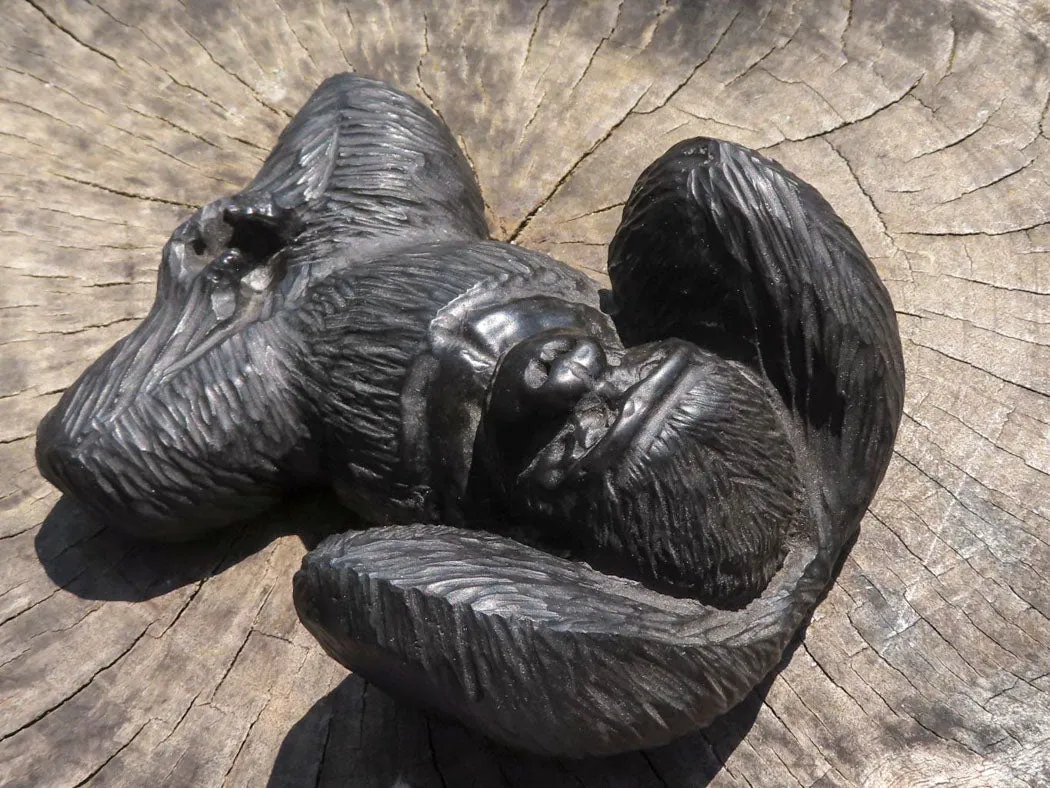 Polished Resting Gorilla Soapstone Carving x 1 From Zimbabwe