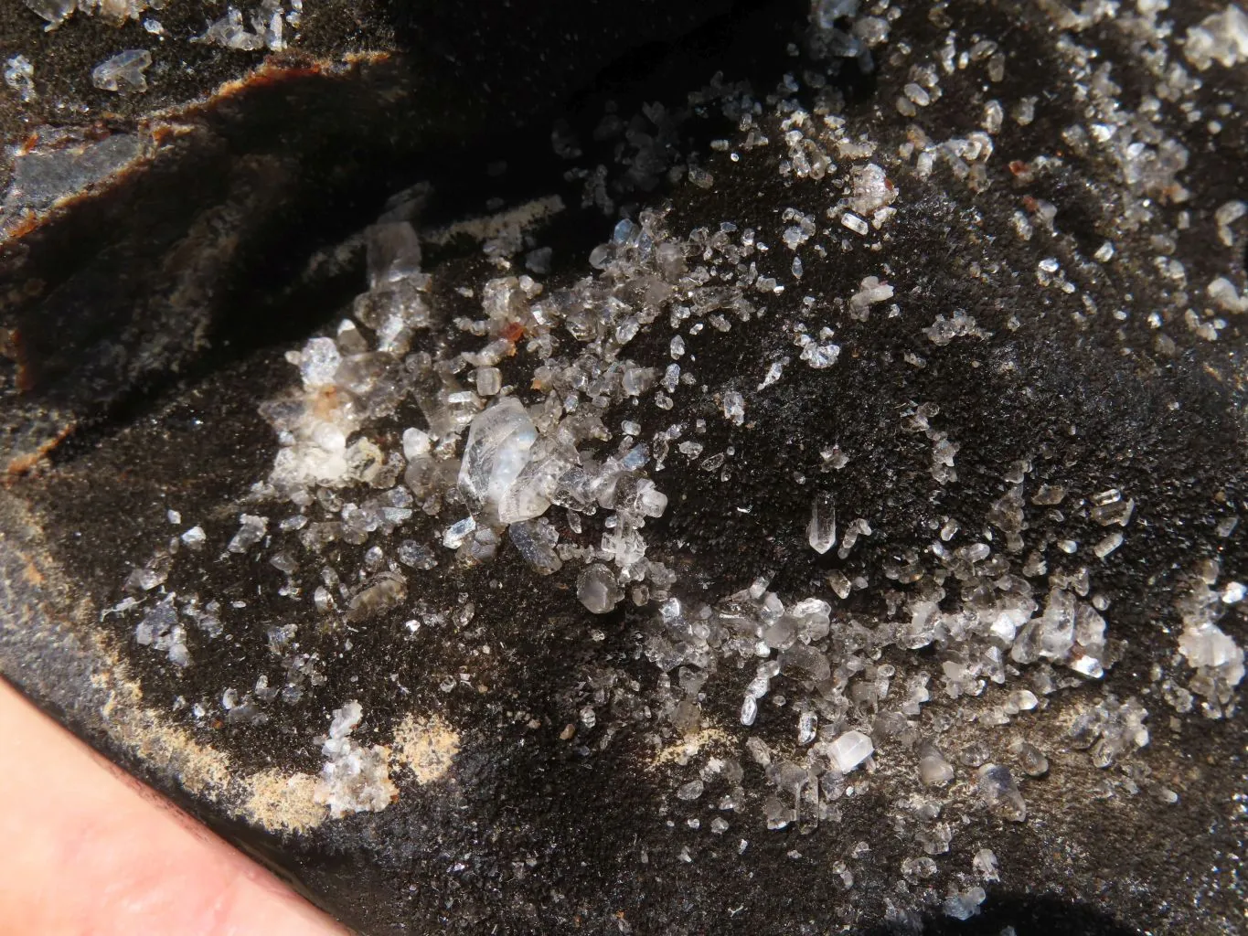 Polished Septerye Sauvage Display Piece x 1 From Mahaganja, Madagascar