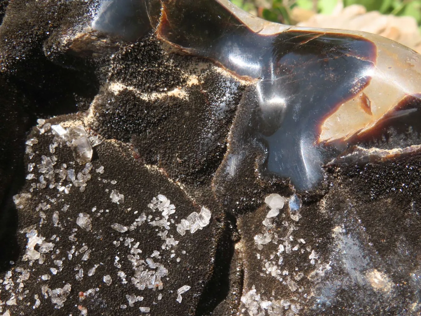 Polished Septerye Sauvage Display Piece x 1 From Mahaganja, Madagascar