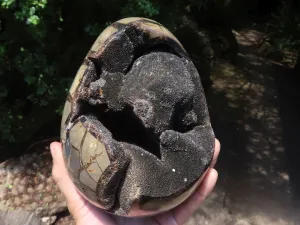 Polished Septerye Sauvage "Dragons Egg" Geode x 1 From Mahajanga, Madagascar