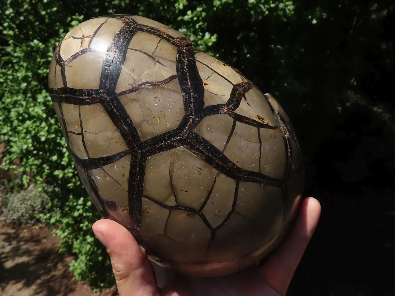 Polished Septerye Sauvage "Dragons Egg" Geode x 1 From Mahajanga, Madagascar