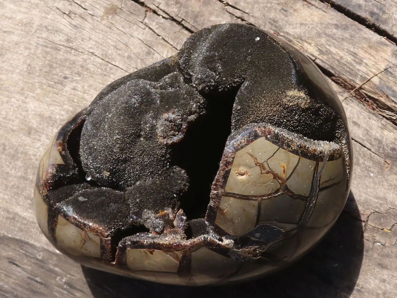 Polished Septerye Sauvage "Dragons Egg" Geode x 1 From Mahajanga, Madagascar