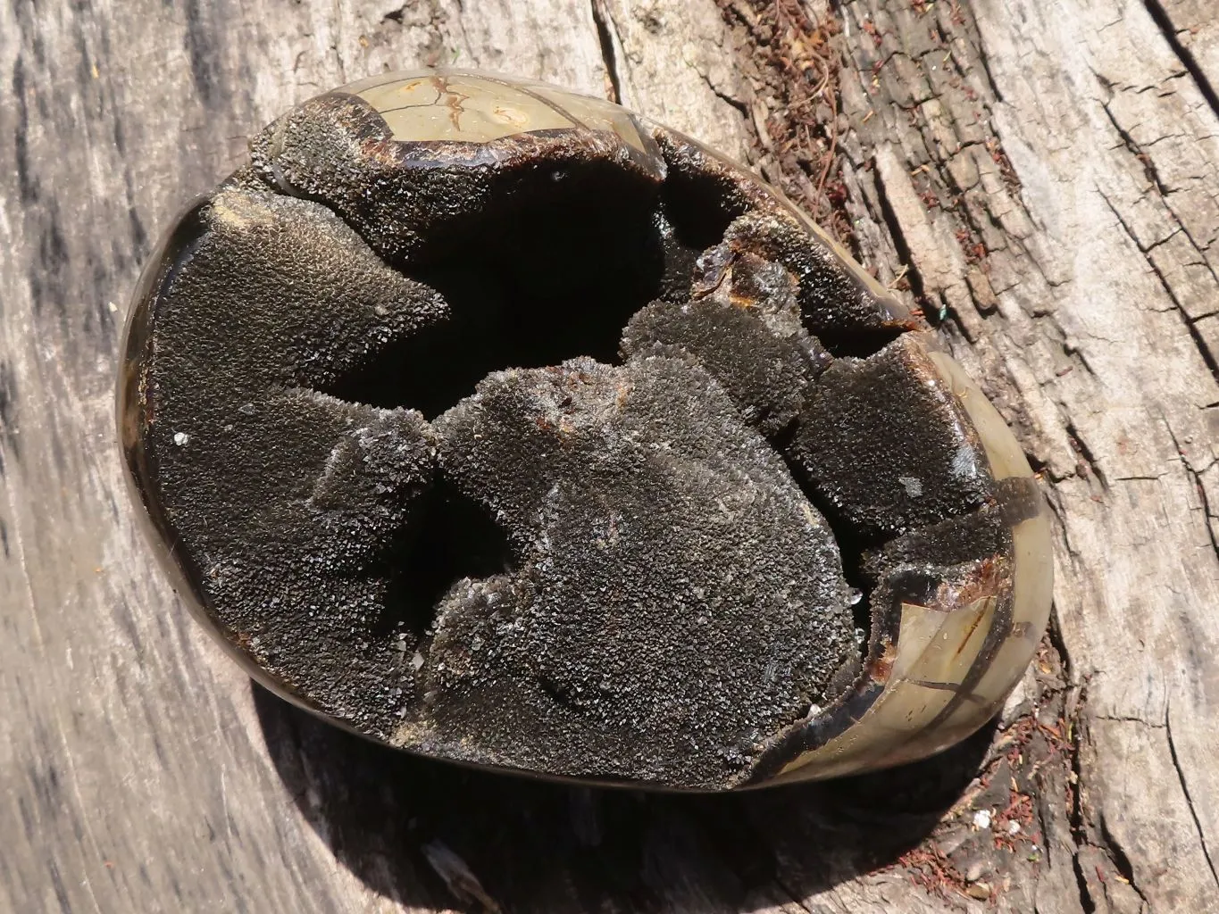 Polished Septerye Sauvage "Dragons Egg" Geode x 1 From Mahajanga, Madagascar