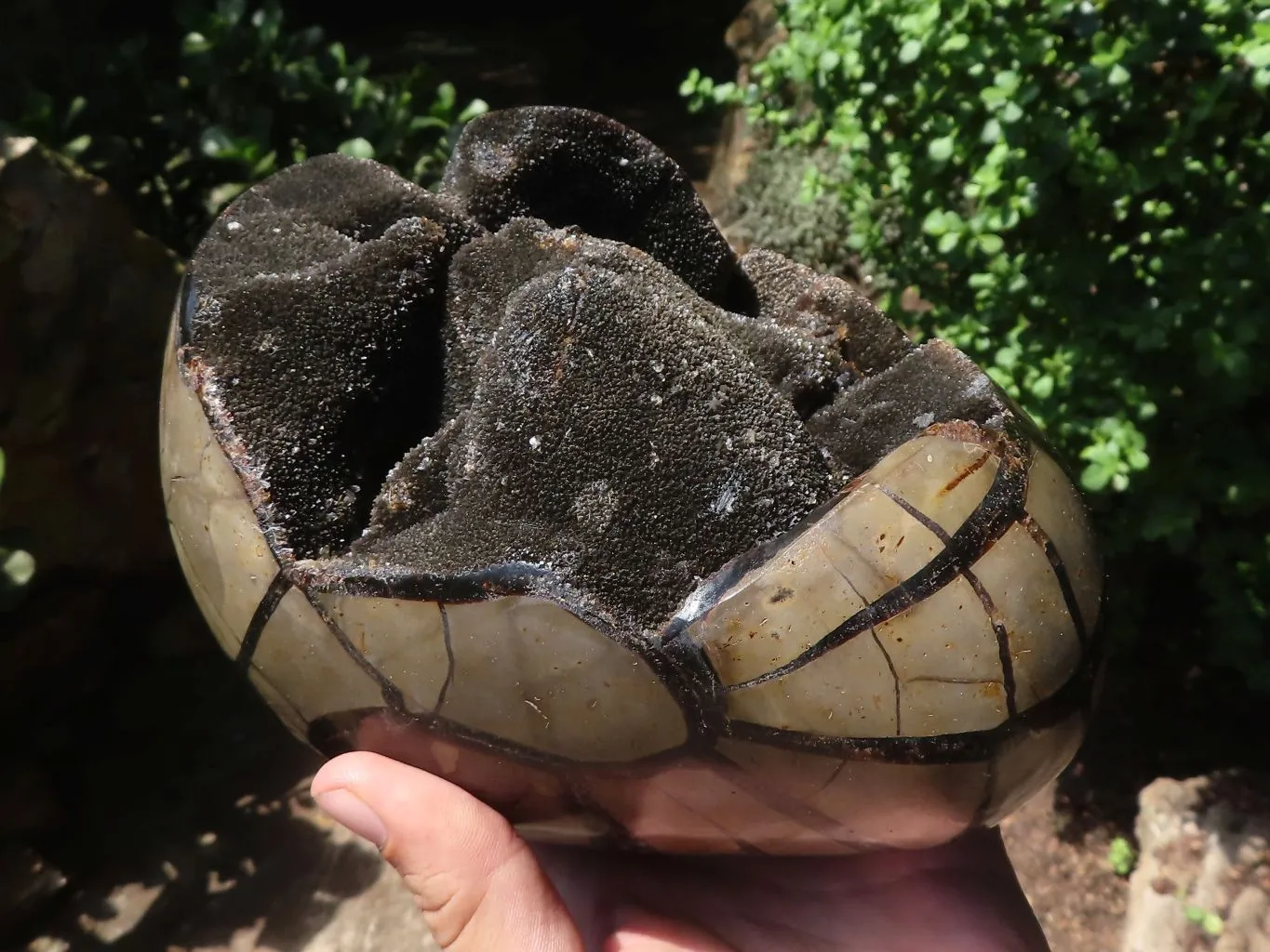 Polished Septerye Sauvage "Dragons Egg" Geode x 1 From Mahajanga, Madagascar