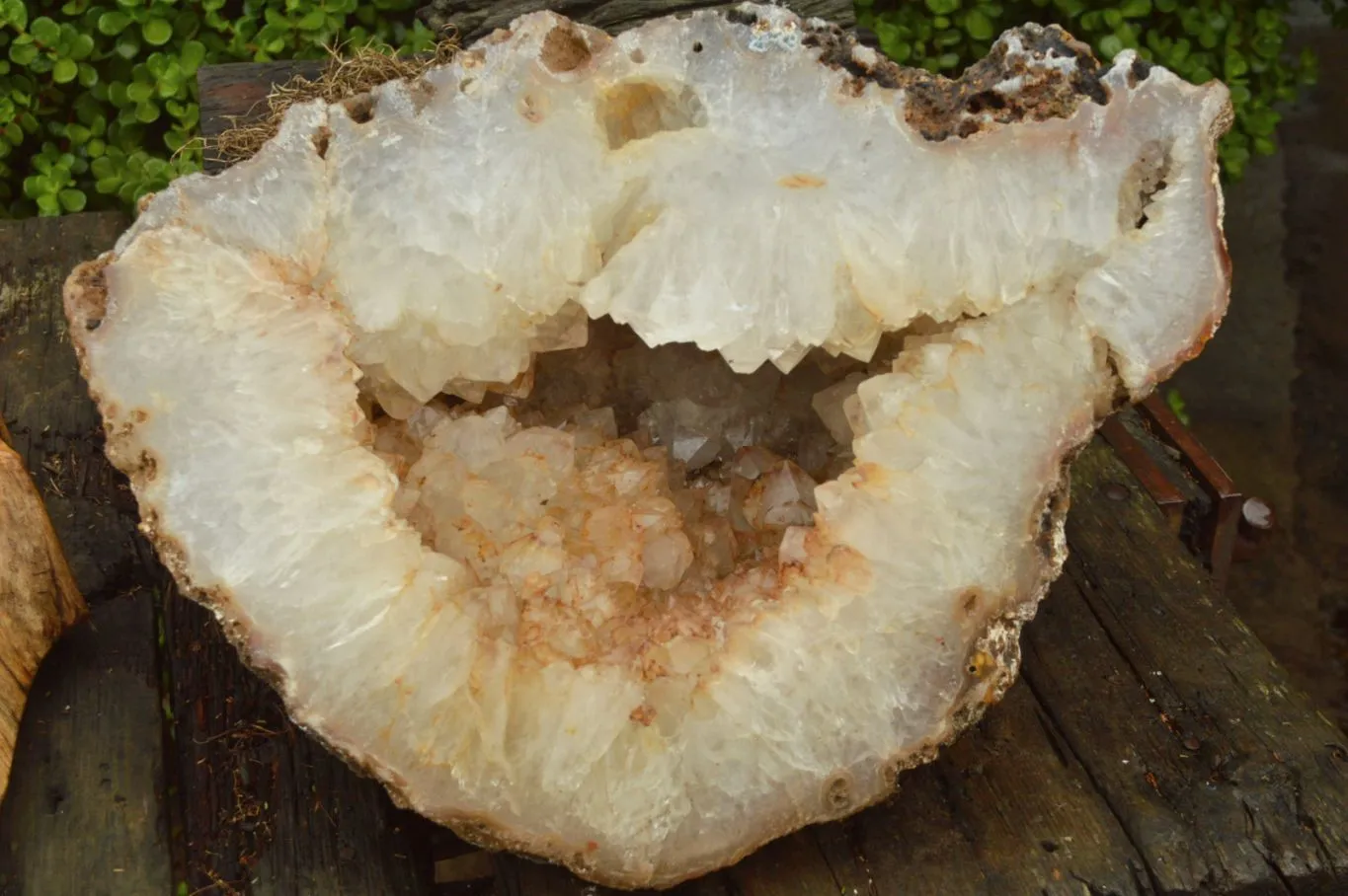 Polished XL Agate Geode Display Piece x 1 From Maintirano, Madagascar