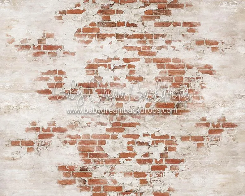 Scattered Brick Floor-rf