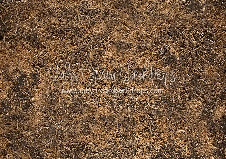 Scattered Hay Floor-rf