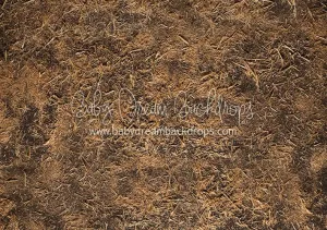 Scattered Hay Floor-rf