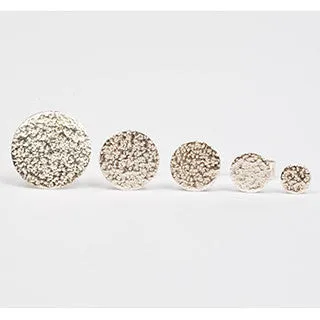 Silver glitter studs
