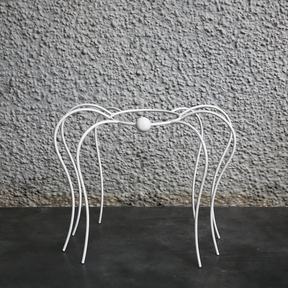 Spider Planter