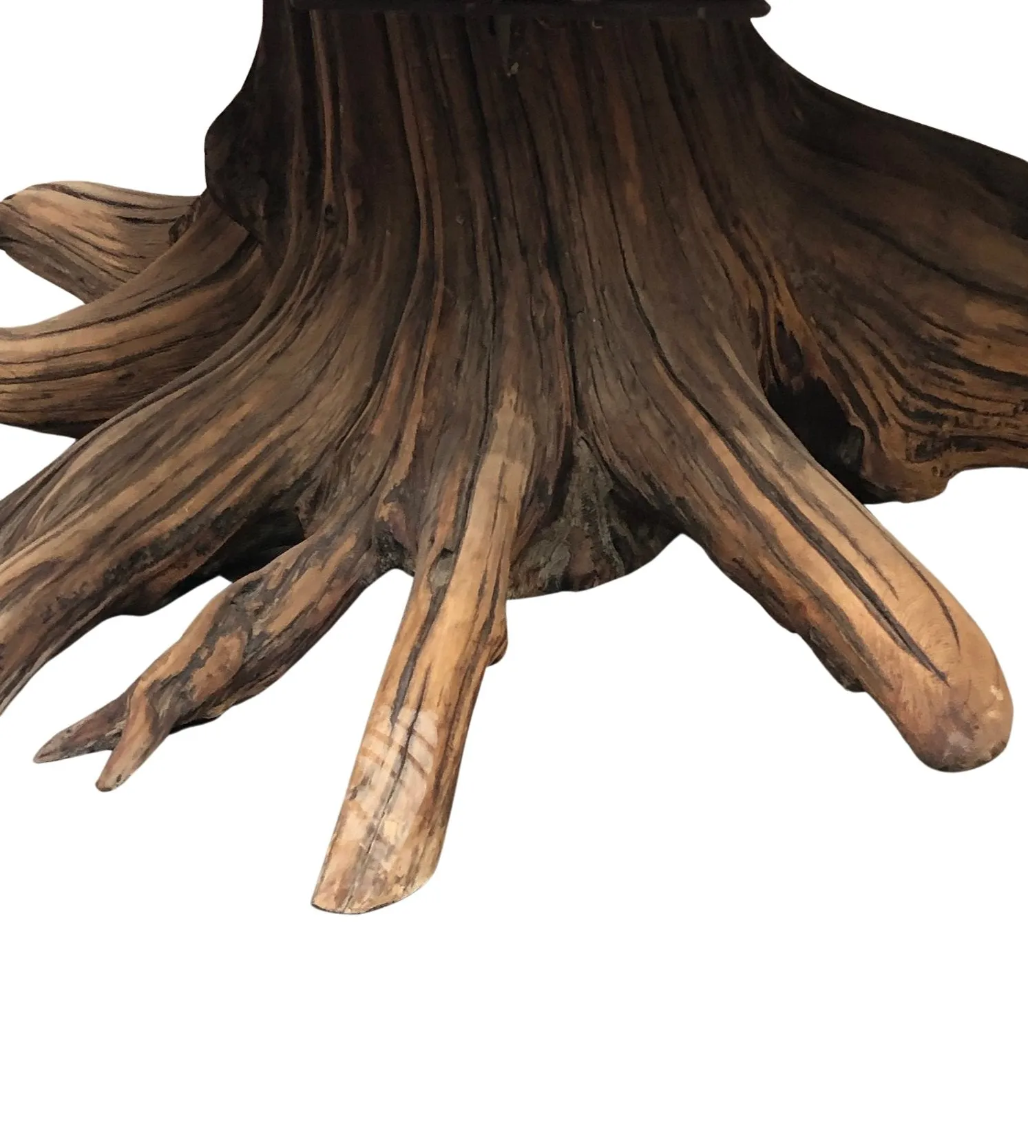 Stunning Petrified Wood Accent Table with Driftwood Base: A Natural Masterpiece