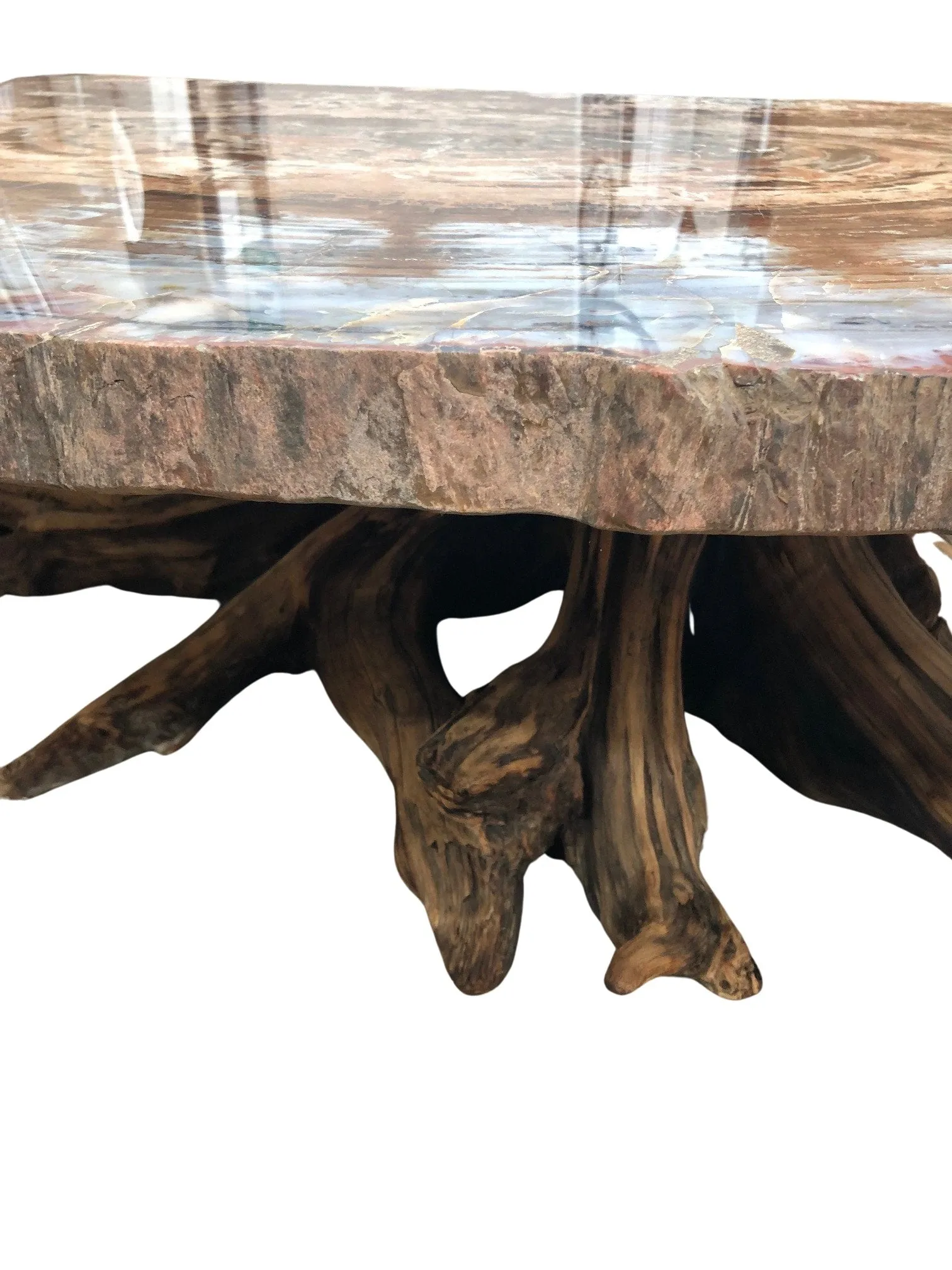 Stunning Petrified Wood Accent Table with Driftwood Base: A Natural Masterpiece