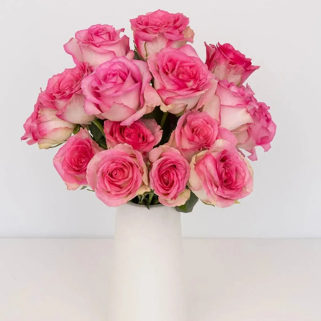 Sweet Unique Pink Rose