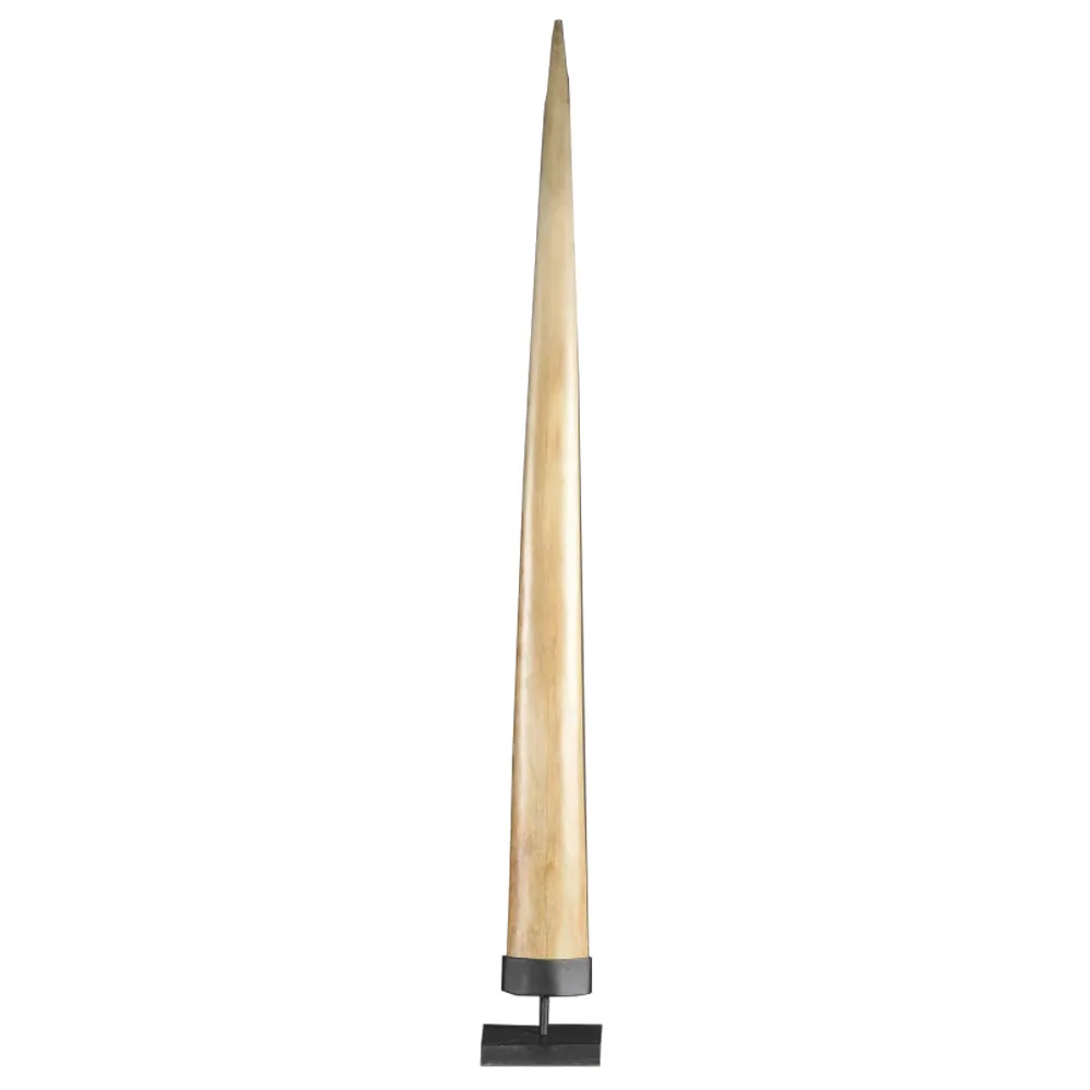 Swordfish Rostrum