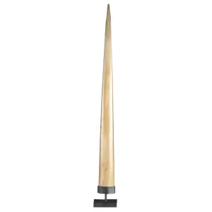 Swordfish Rostrum