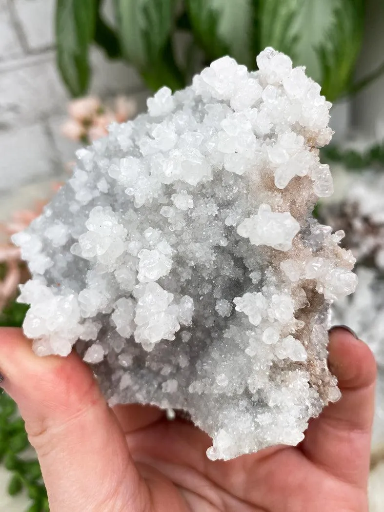 Unique Aragonite Clusters
