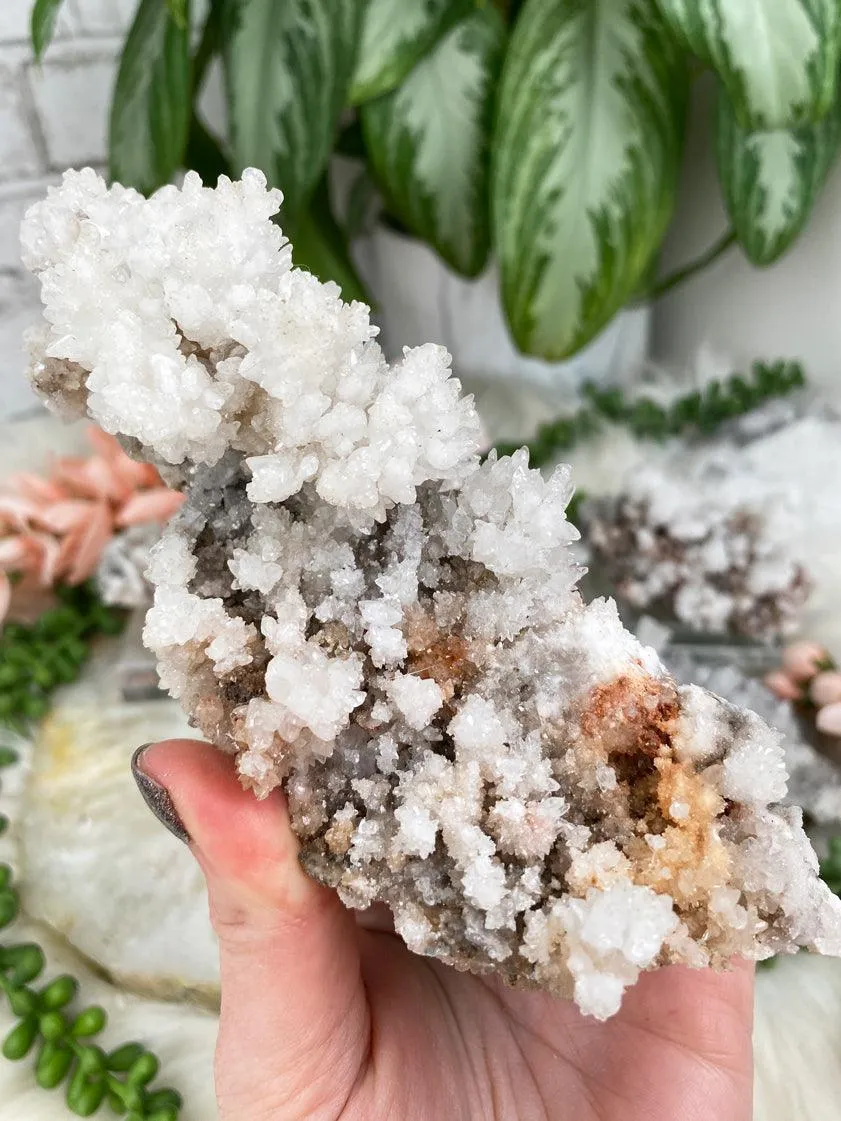 Unique Aragonite Clusters