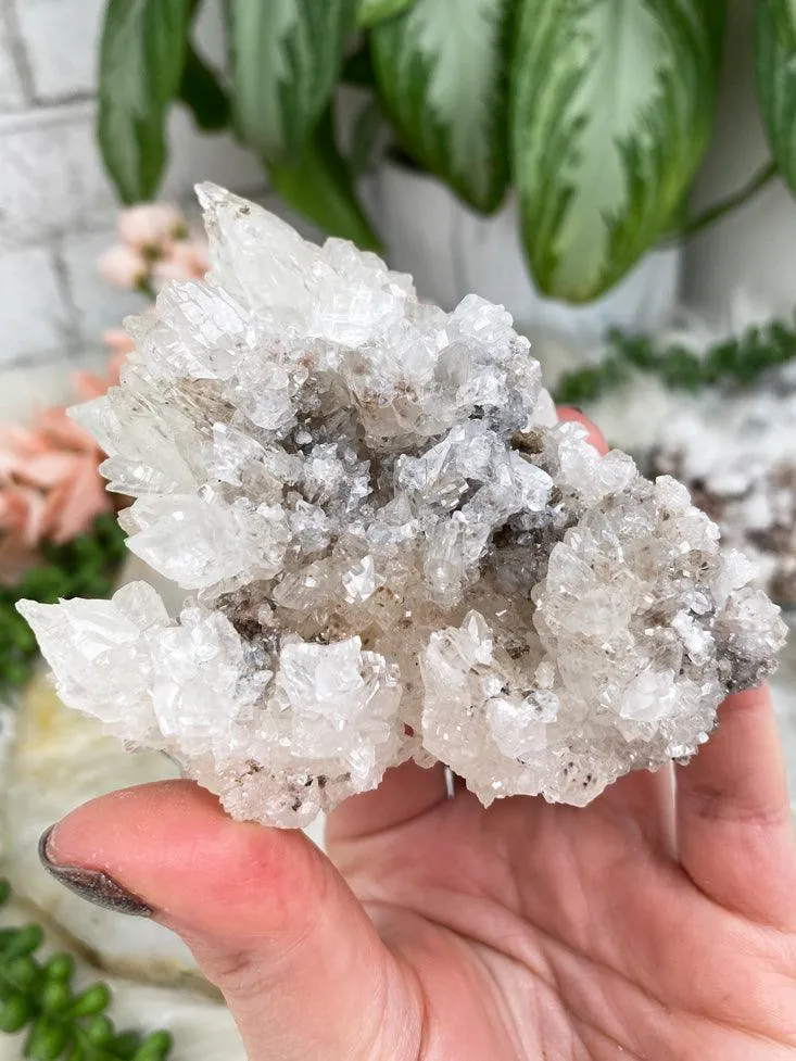 Unique Aragonite Clusters