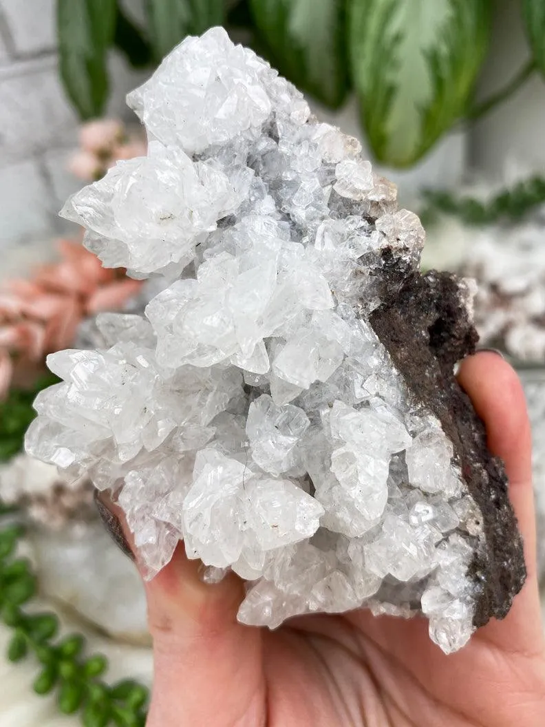 Unique Aragonite Clusters