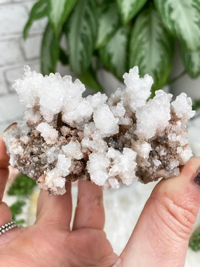 Unique Aragonite Clusters