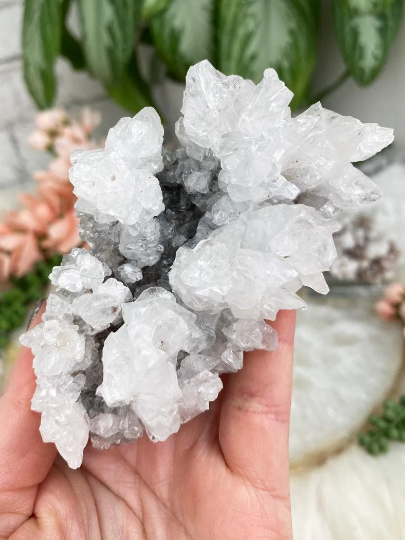 Unique Aragonite Clusters