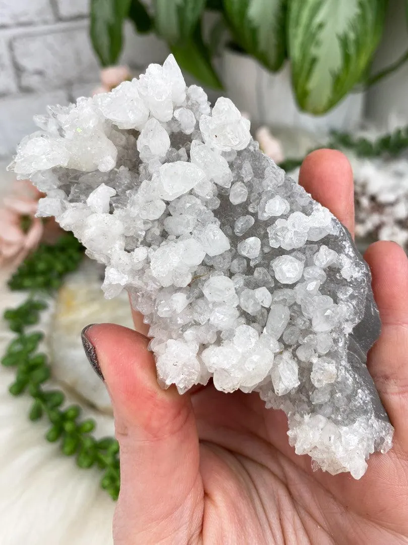 Unique Aragonite Clusters