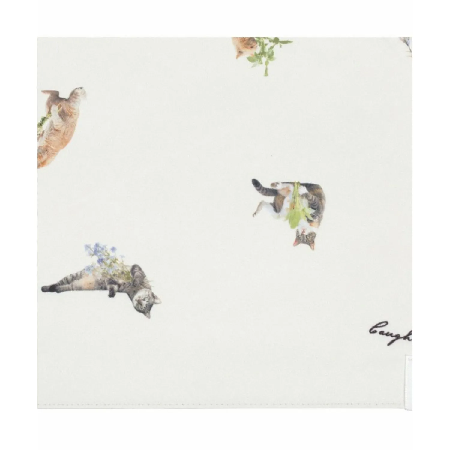 WPC X Masayuki Oki Neko UV Protection UPF 50  Umbrella 47cm