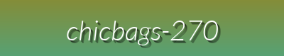 Luxury Bags & Fashion Accessories | ChicBags